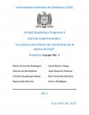 Ciencias Experimentales I “La música como factor de crecimiento de la planta de frijol”