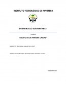 ENSAYO SOBRE LA SUSTENTABILIDAD