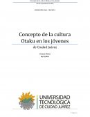Concepto de la cultura Otaku en los jóvenes