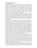 Lectura Estructural Ampliada