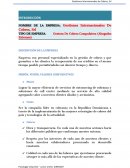 Gestiones Internacionales De Cobros, Srl