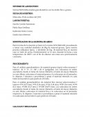 DENTIFICACION DE LA MUESTRA DE ARIDO