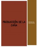 PROCESO DE LA CAÑA
