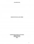 TALLER MODULO DE ETICA