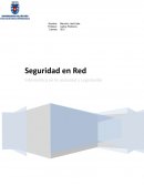 Seguridad informatica. Cómo Proteger una red o sistema