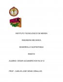 Desarrollo sustentable unidad