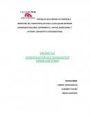 OBJETIVOS DEL DIAGNÓSTICO ORGANIZACIONAL