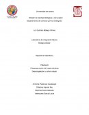 El método de criopreservación así como el procedimiento de descongelación