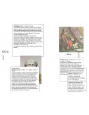 Personajes De Clis De Sol ensayos y trabajos finales