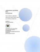 Permanecen como una de las empresas líderes en el mercado