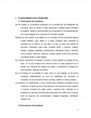 Anteproyecto ¿Cómo implementar un spa integral en el municipio de Tierralta Córdoba?