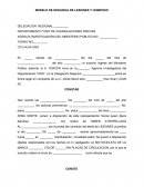 MODELO DE DENUNCIA DE LESIONES Y HOMICIDIO