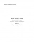 Una empresa nacional de lácteos llamada La vaquita Loca, se ubica en la X región, en un predio privado por donde pasa un río. Esta empresa produce entre sus productos estrellas Leche, Queso y Yogurt.