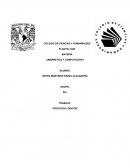 Tema de ¿Qué es un “Circuito Lógico”?