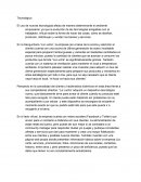 Cuales so los Medios digitales la lucha