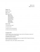 Graciela es la Directora del Área Comercial quien se encargará de liderar al Equipo de Ventas para lograr los objetivos que se establecerán.