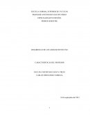 Características del profesor