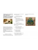 Sabias que las amas de casa tienen mas posibilidad de un mejor desarrollo economico que un profesionista