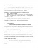 Se denomina úlcera péptica a la patología caracterizada por la existencia de una lesión en la mucosa y otras paredes del estómago o duodeno.