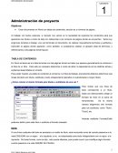 Administracion de proyectos.En word