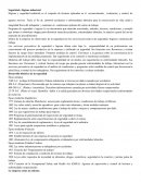 Seguridad e Higiene - Ensayo