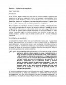 Reporte La Civilización del espectáculo