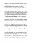 Desvaneciendo - Ensayo