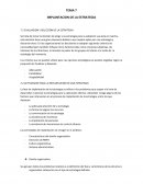 Implantación de estrategia