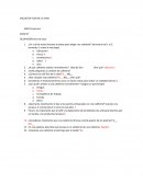 ENCUESTA FLOR DE LA VIDA