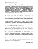 Actividad 3: Las Organizaciones No Gubernamentales