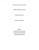 Taller de investigacion protocolo