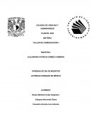 Ofrenda de Día de Muertos y Comunicación No Verbal