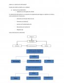 Sistemas de Información - Actividad