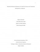 Analisis y desarrollo de sistemas de informacion en el Control de los Procesos de la Veterinaria & Pet-Shop Erick y sus Mascotas