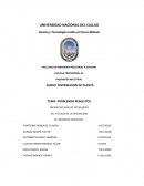 TEMA: PROBLEMAS RESUELTOS