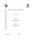 Ensayo de administracion enfermeria