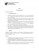 Taller 3 Desarrollo economico