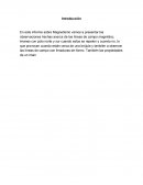 Explorar la forma, dirección e interacción de los campos magnéticos.