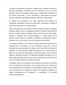 Tema de la INS: Rumentación didáctica conceptos generales