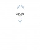 Traumatismo y lesiones por accidentes de tránsito (TLAT) en República Dominicana
