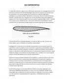 A la supercritica