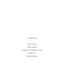 Identificar los riesgos y la mitigación de estos al trabajar con maquinaria empleada para transporte de material en una obra.