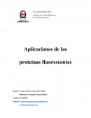 Aplicaciones de las proteínas fluorescentes