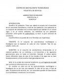 PRÁCTICA No. 5 “GENÉTICA”