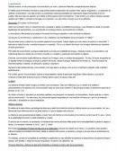 La enunciacion. La deixis