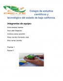 Colegio de estudios científicos y tecnológico del estado de baja california