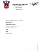 Proyecto final. Plan de vida