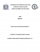 MEMORIA PRACTICAS DE PSICOLOGIA BASICAS 1