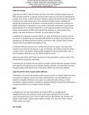 Caída del Petroleo en México