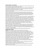 ANATOMÍA: RIÑON Y VIAS URINARIAS